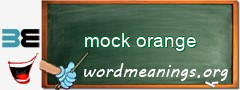 WordMeaning blackboard for mock orange